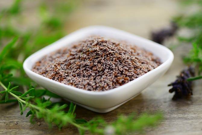 Abnehmen mit Flohsamenschalen