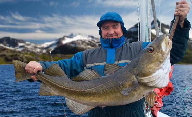 Angelurlaub in Norwegen