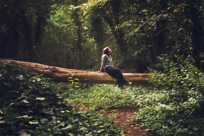 Aufenthalt im Wald