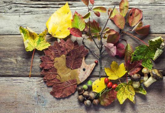 Basteln im Herbst