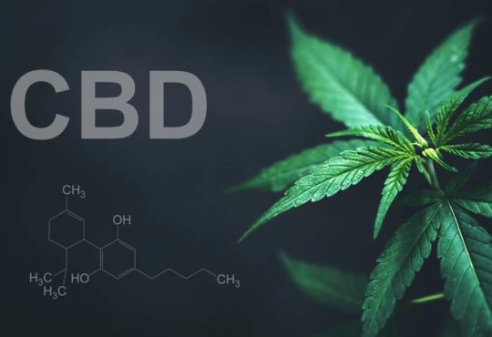 Begeisterung rund um CBD