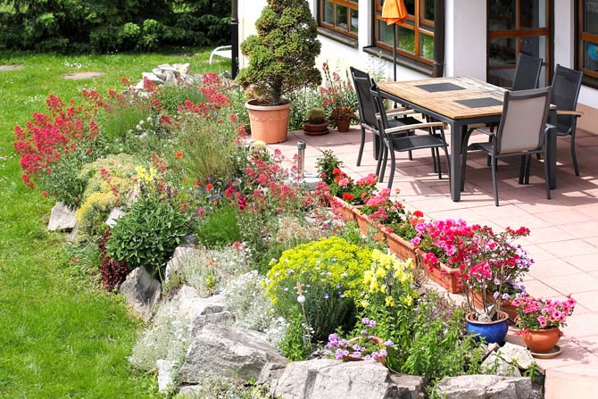 Greening and planting on the terrace