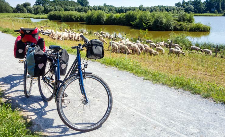 Fahrrad Technik Kurs