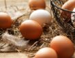 Braune Eier verschwinden zunehmend vom Markt