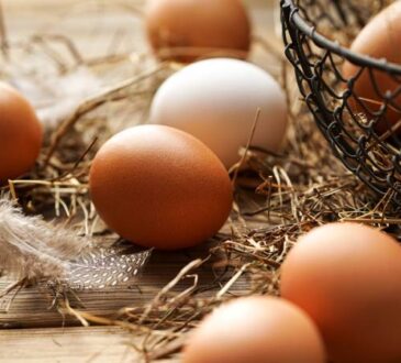 Braune Eier verschwinden zunehmend vom Markt