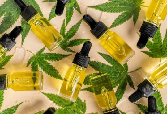 CBD – Begriffserklärung, Ursprung, Herkunft
