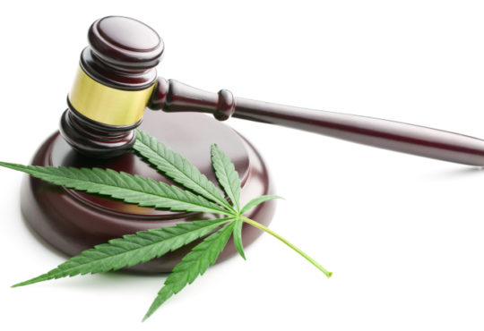 Cannabis Legalisierung