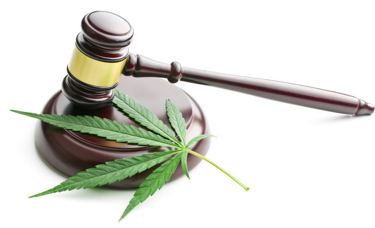 Cannabis Legalisierung
