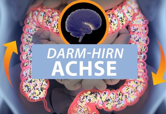 Darm-Hirn-Achse