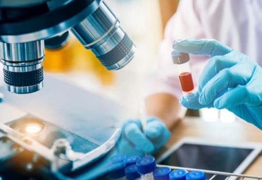 Deutsche Wissenschaftler forschen an einer neuen Therapie gegen Corona