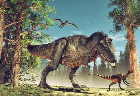 Dinosaurier