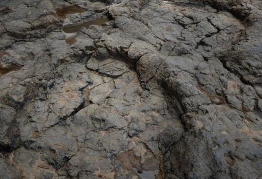 Dinosaurierspuren im Boden