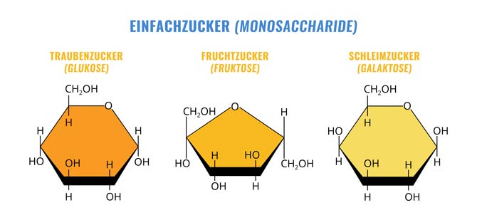 Einfachzucker (Monosaccharide)