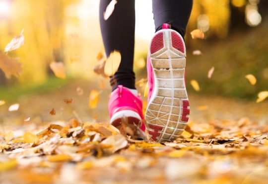 Fit und gesund durch den Herbst