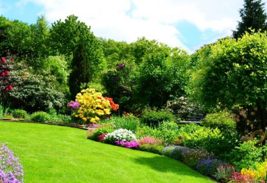 Garten frühlingstauglich machen