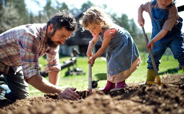 Gartenkalender Wann beginnt und endet die Gartensaison?