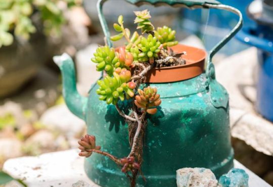 Gartendeko selbst gemacht - Tipps für Sparfüchse