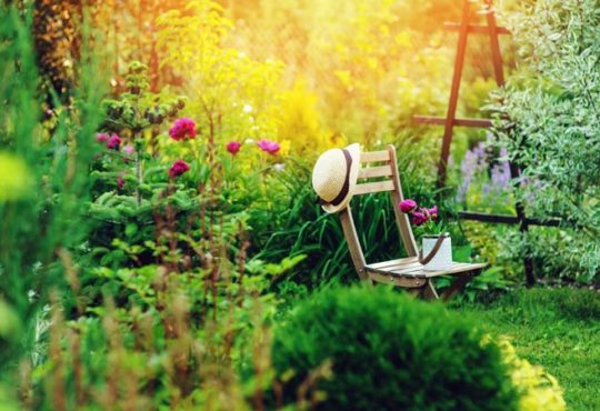 Gartentrends für den Sommer