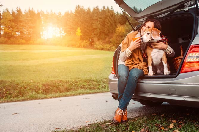 Genügend Pausen einlegen bei lange Autofahrten mit dem Hund