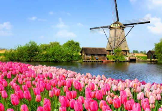 Holland zwischen Tulpenfeldern und Dünen