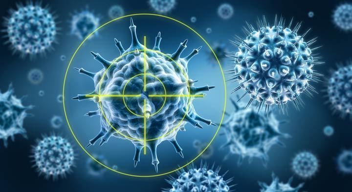 Immunsystem kann Viren und Bakterien abzuwehren