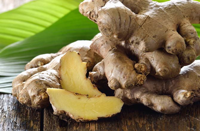 Ingwer Knollen