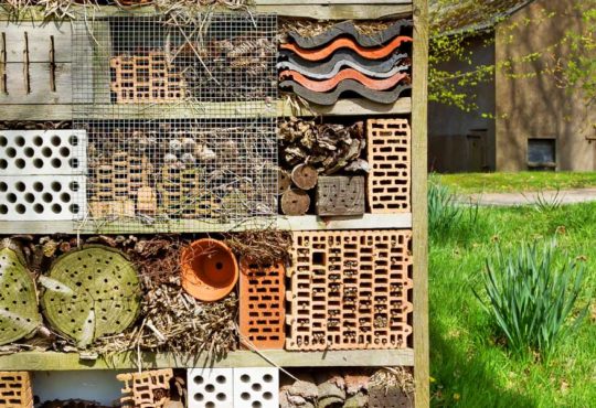 Insektenhotel selber bauen