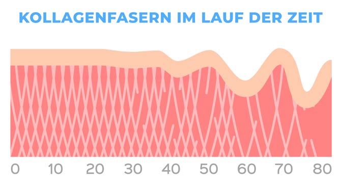 Kollagenfasern im Laufe der Zeit