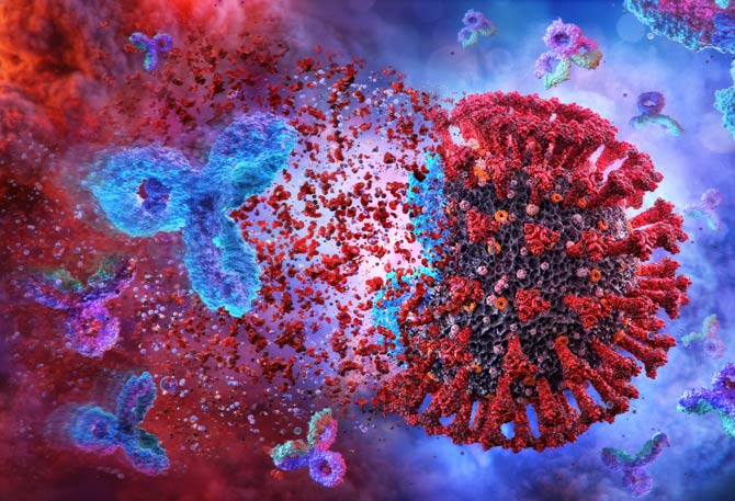 Komplexität des Immunsystems