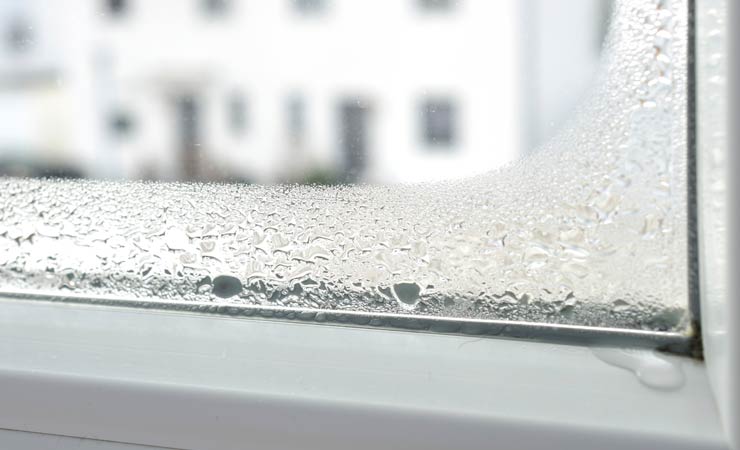Kondenswasser am Fenster loswerden