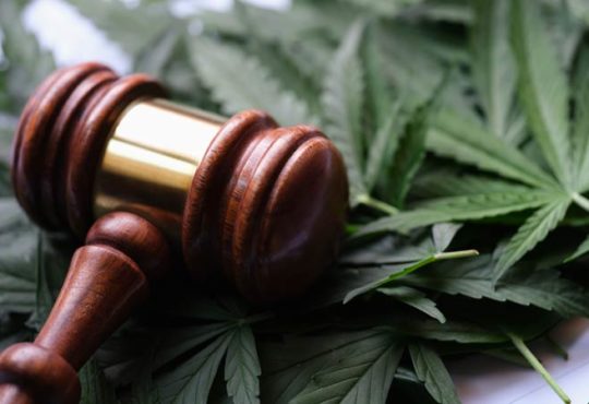 Legalisierung von Cannabis in Deutschland: Der aktuelle Stand