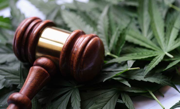 Legalisierung von Cannabis in Deutschland: Der aktuelle Stand