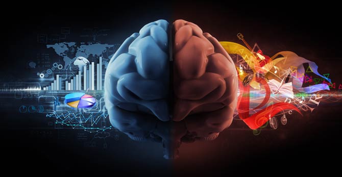 Linke Gehirnhälfte ist sprachdominiert