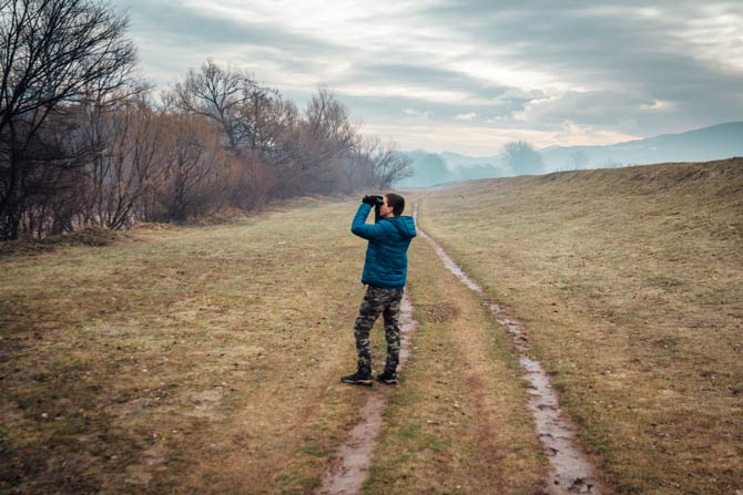 Mithilfe der Bevölkerung bei Wildvogelzählungen erwünscht