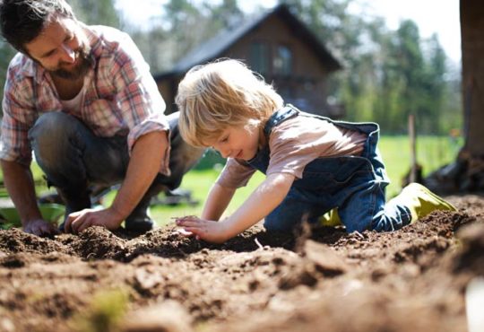 Nachhaltige Gartenplanung