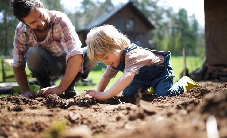 Nachhaltige Gartenplanung