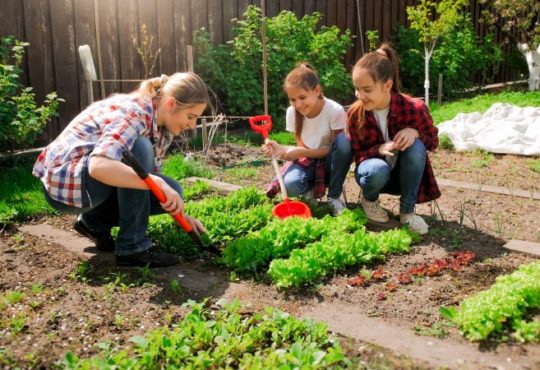 Obst und Gemüse im Garten anpflanzen