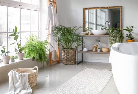 Pflanzen im Badezimmer