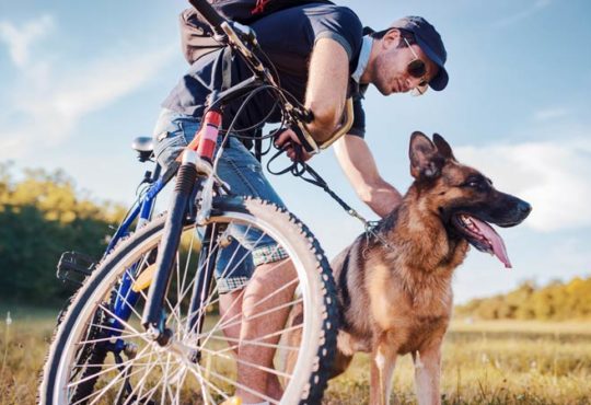 Radfahren mit Hund