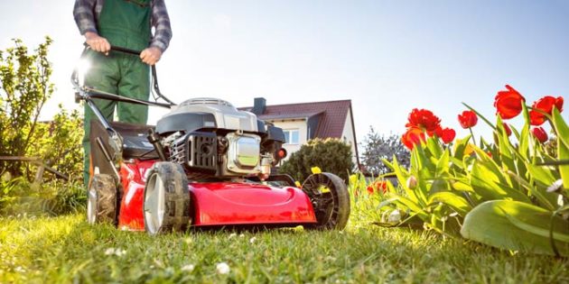 Rasenmähen – Tipps für den sauberen Schnitt auf der Grünfläche - Blogg.de