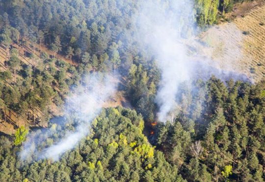 Rauch beim Waldbrand