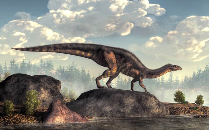 Sauropodomorpha - Plateosaurus