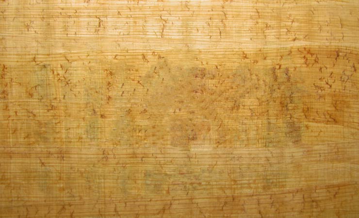 Spuren auf Papyrus
