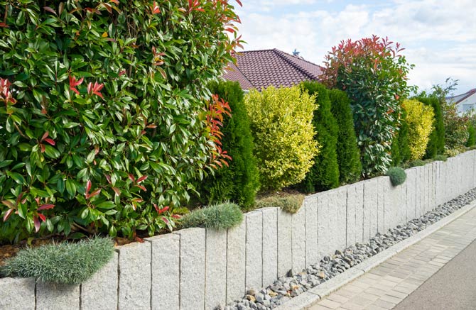 Sträucher und Hecken als Gartenumrahmung