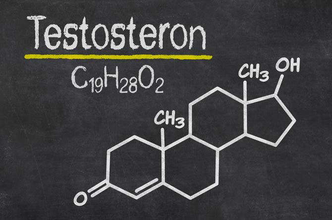 Testosteron