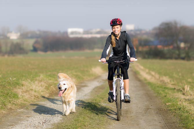 hund ans fahrrad gewöhnen