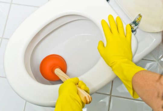 Toilette verstopft
