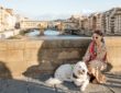 Urlaub auf vier Pfoten in der Toskana: Worauf achten?