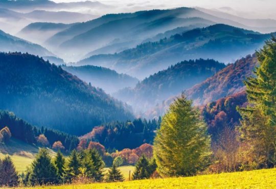 Urlaub im Schwarzwald