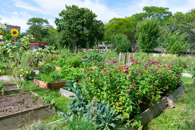 Vielfaltsgarten und seine Vorteile